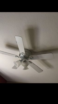 Ceiling fan