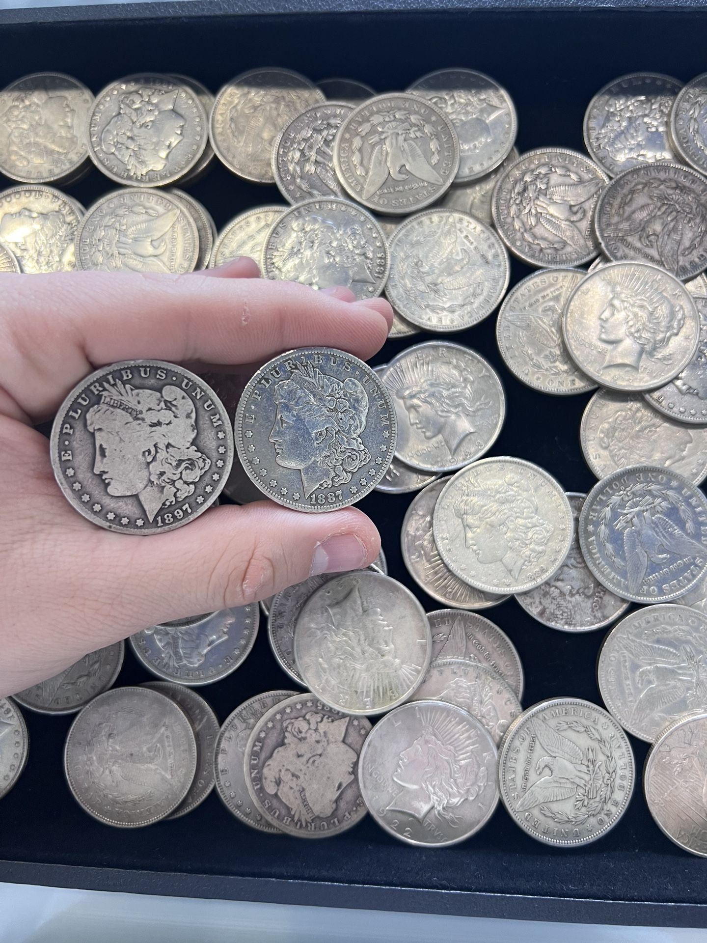 Morgan Dollars/Peace Dollars - 33$ Each!
