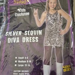 Disco Silver Sequin Diva Dress