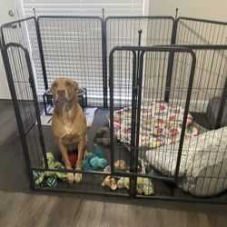 Moving Sale