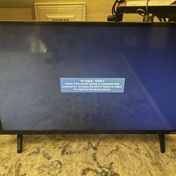 29 Inch Vizio TV (With Roku Stick)