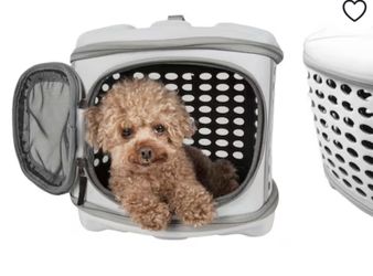 Black Collapsible Travel Pet Carrier 18.2” x 14.6” x 12.2”