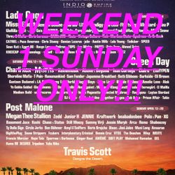Coachella Music Festival 2025 Weekend 1 (SUNDAY ONLY)