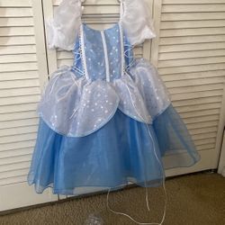 Cinderella Custome 