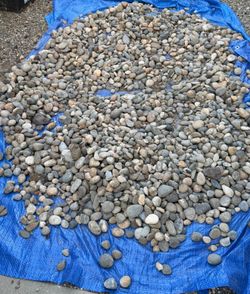 Landscaping decorative rocks