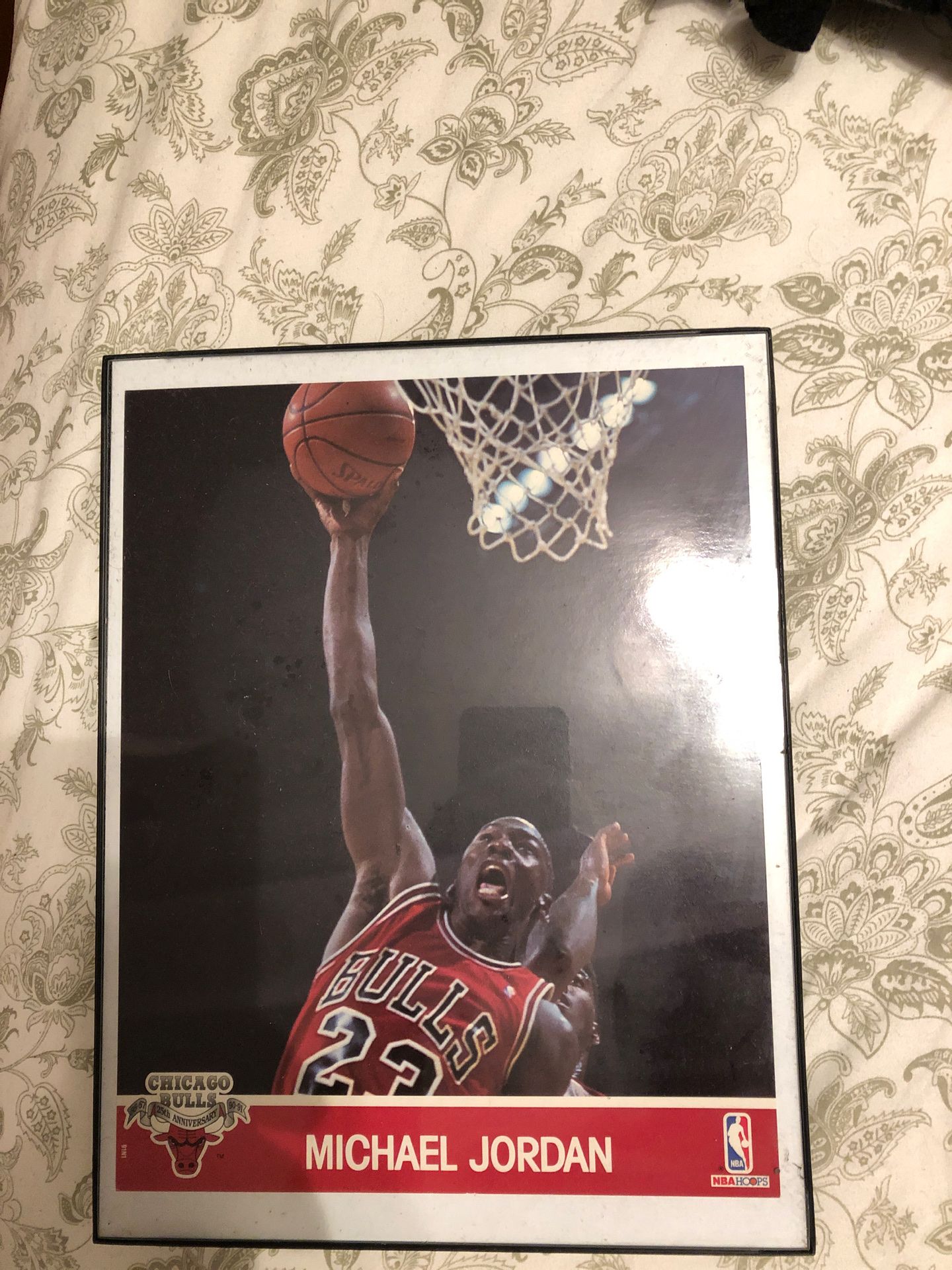 Framed Michael Jordan picture