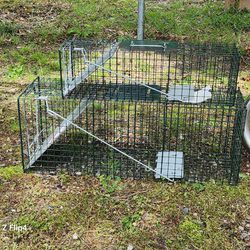 Raccoon And Rat Traps