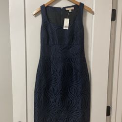 Banana Republic Dress (2)