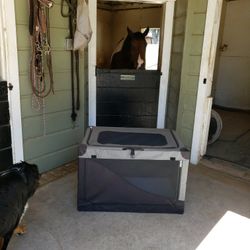Extra Large Canvas Pet Container Used Once