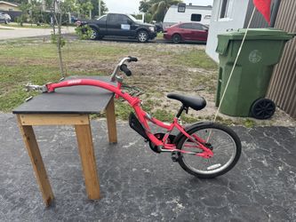 Co Pilot Trailer Bike 
