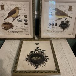 Heather Myers Bird Art 