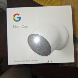 Nest Cam.........NEW 