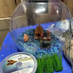 Fishbowl For Beta Or Similar Small Fish 
