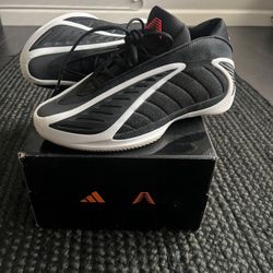 Adidas Anthony’s Edward’s 2 Size 11 