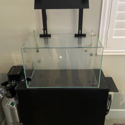 Fish Tank 