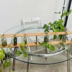 Plants, Pots, Test Tubes, Holder All For $10