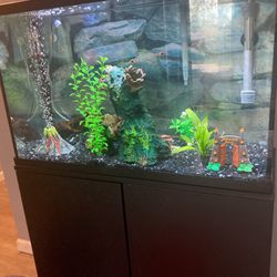 Fish Tank And Stand (all Included)
