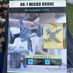 Micro drone