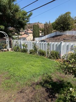 Free rosemary plants