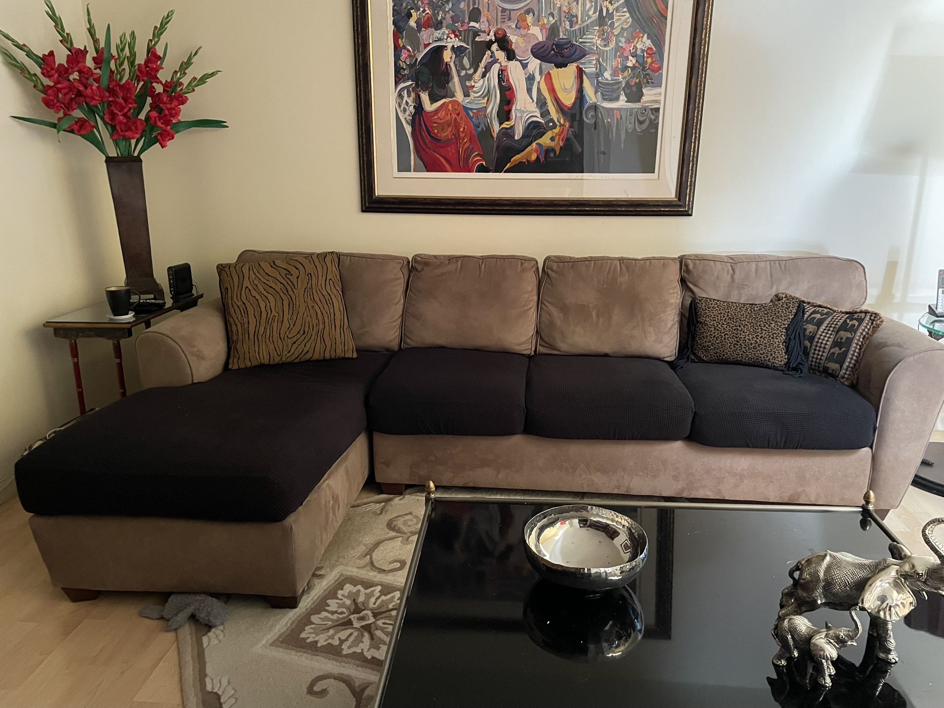 Sleeper Sofa Plus Chaise