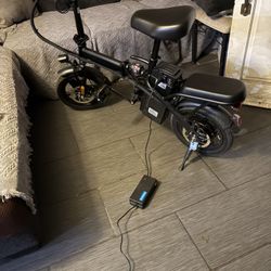 Electric Scooter 