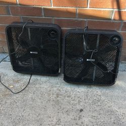 Fan