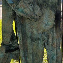 4-6 Dinosaur Coustum Kids