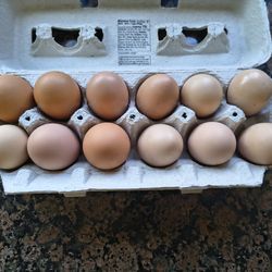 Fresh organic eggs