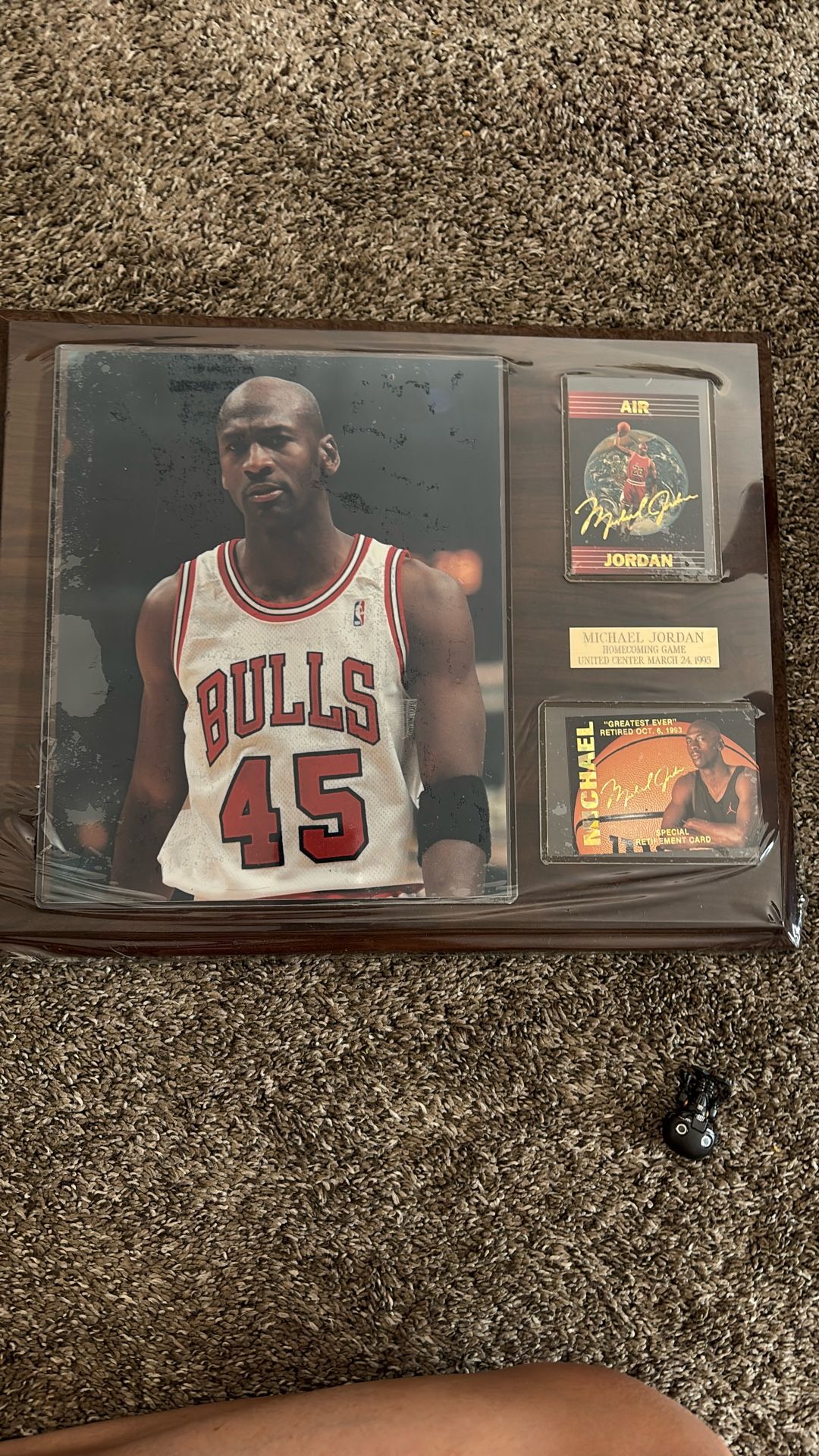 Michael Jordan Plaque March 25 1995