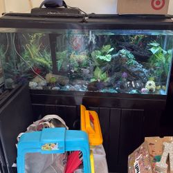 75 Gallons Fish Tank For Free Moving Gone ASAP
