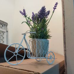 🚲 Plant Holder