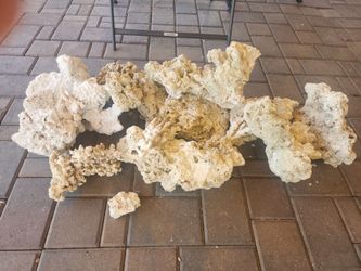 Dried reef rock