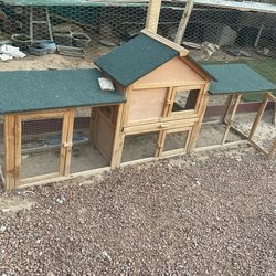 Rabbit House