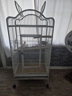 Bird Cage 