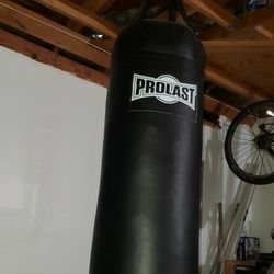Prolast Punching Bag