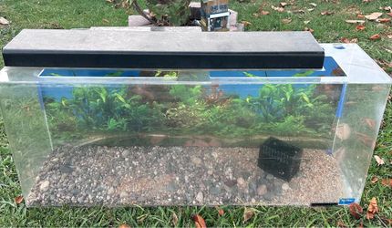 Large tank