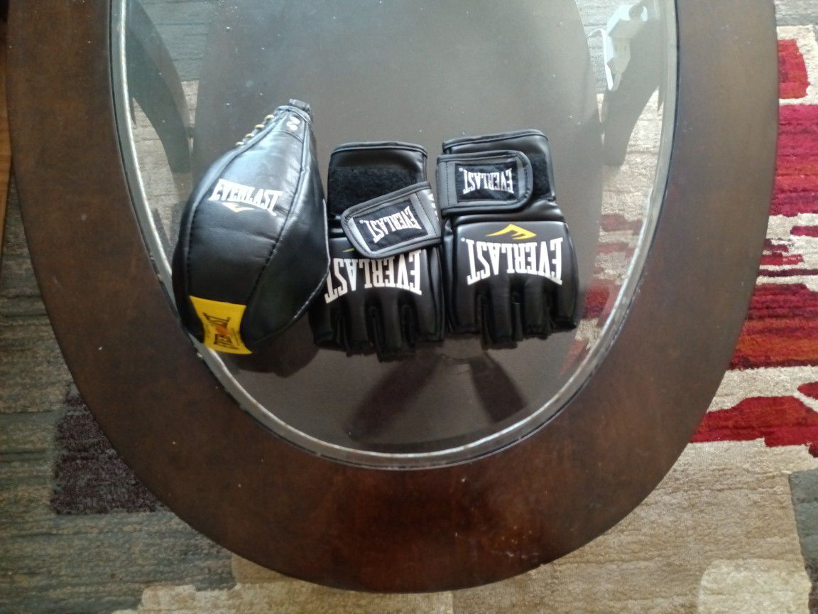 Everlast UFC Gloves + Speed Bag