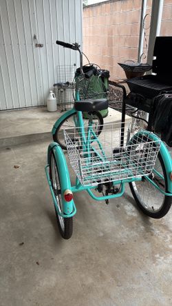Adult tricycle