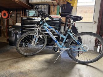 Schwinn Bike