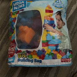 Mega Blocks