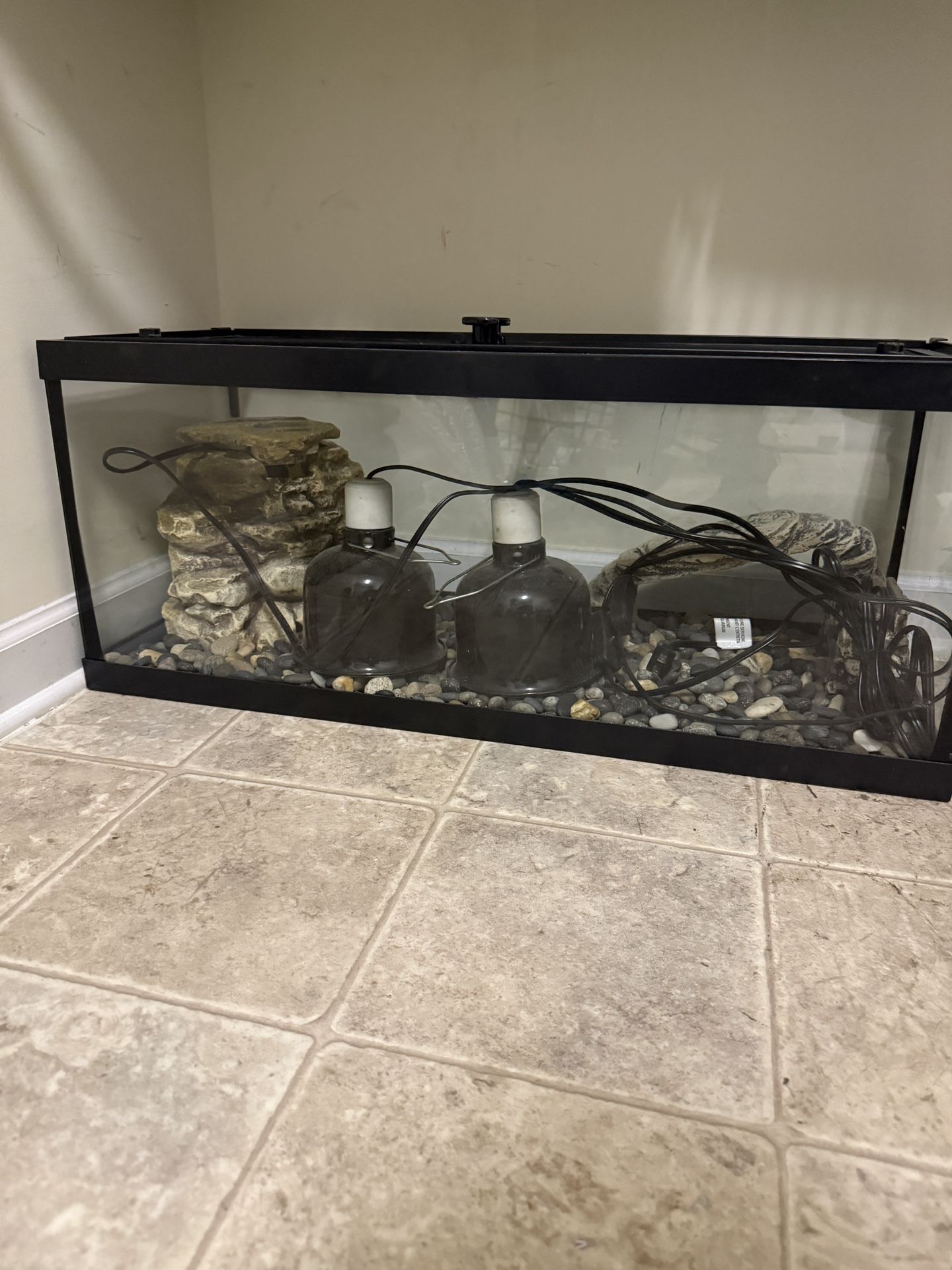 Turtle Tank