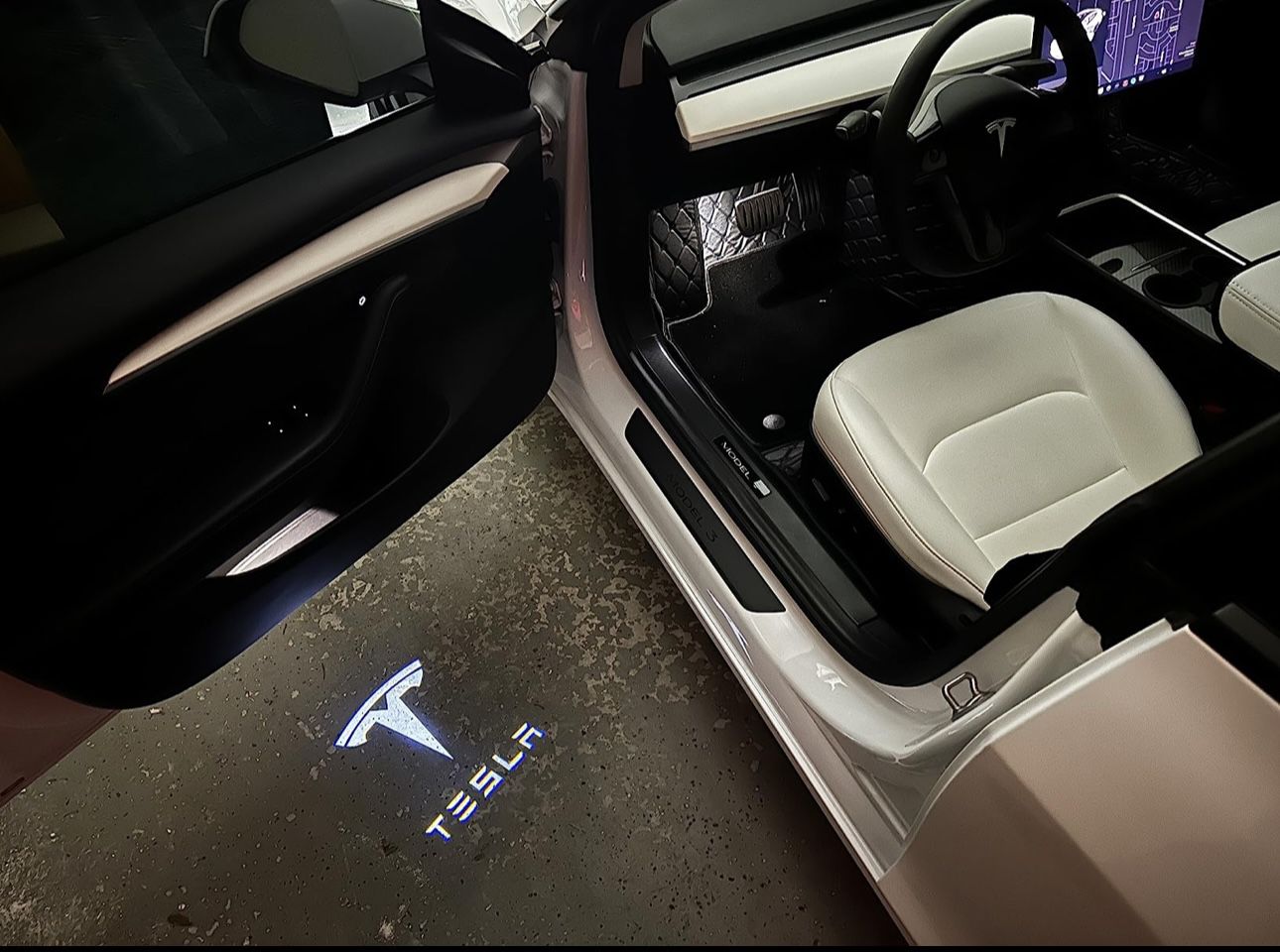 Tesla Model 3/Y Puddle Lights 