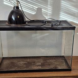 Fish Tank and Lamp