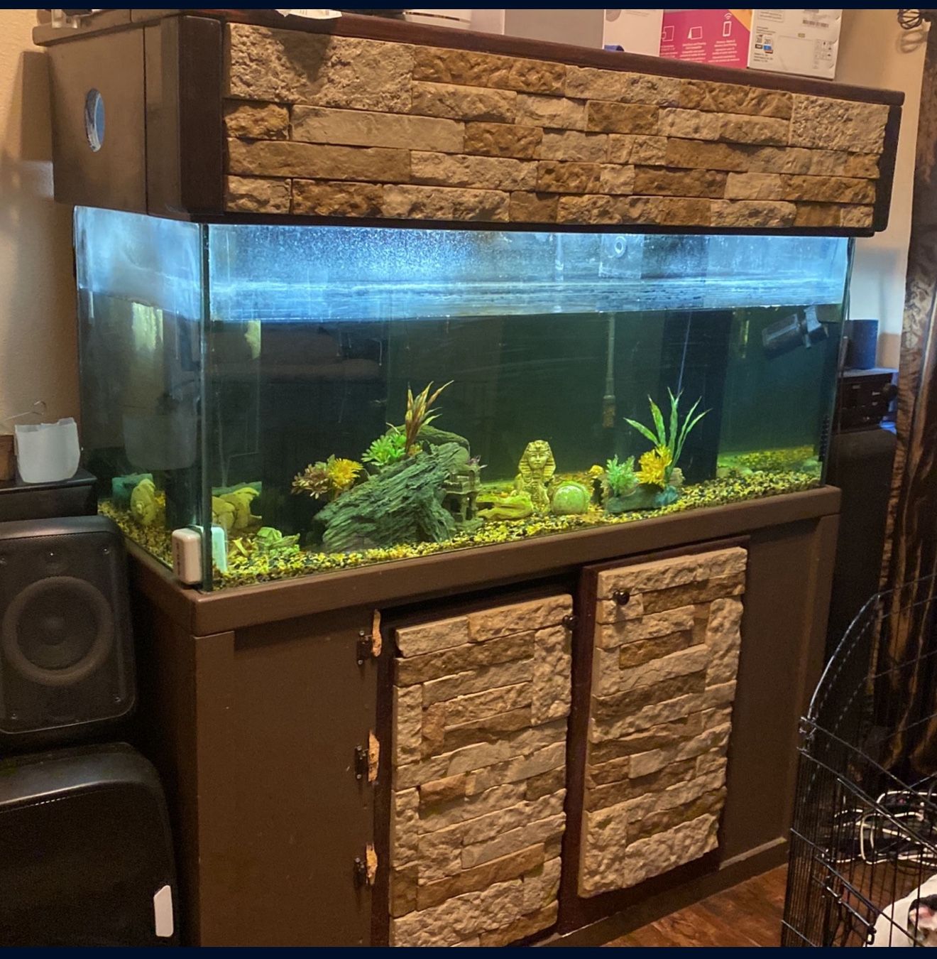 Fish Tank 150 Gallon