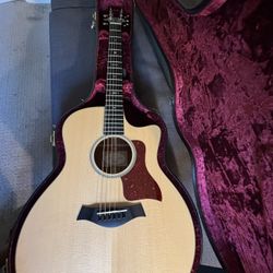 Taylor 516ce 