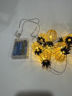 Garden party string lights