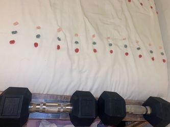 15 pound dumbbells