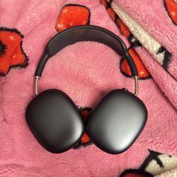 Apple Headphones
