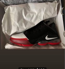 LeBron Men’s Size 11 Shoe