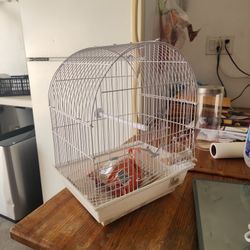 Bird Cage